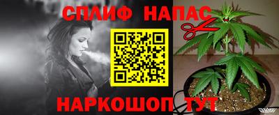 шишки Янаул