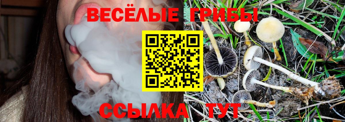 Псилоцибиновые грибы прущие грибы  Вход с VPN  Богородицк 